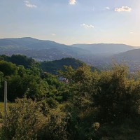 Jazba Hadžibulić