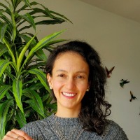 A. Liliana Merchan A.