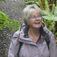 Dianne Buchan Qsm, Jp, Mpp, Cenvp (Alumni), Hlmeianz
