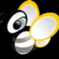 Webbeez Digital