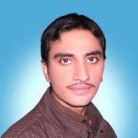 Hussain Hussain