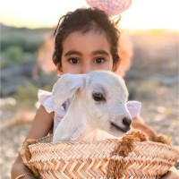احمد البوسعيدي