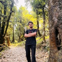 Satish Chandra