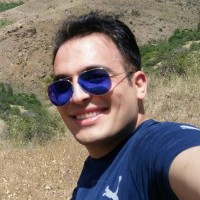 Majid Karimi