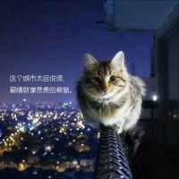 徐保虎