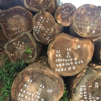Wood Cam