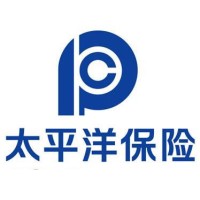 马其飞