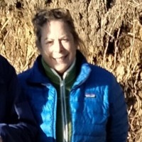 Anne Jodon Cole