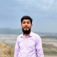 Tehseen Waheed