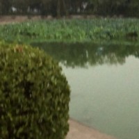 李桂志