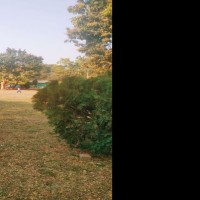 AJAYA KUMAR MOHAPATRA