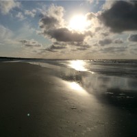 wilco de Haan