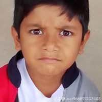 Aleem Pasha