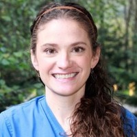 Bridget Willet, Dds