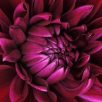 Arun kumar . V kannan V