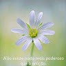 Sonia Freire Sindeaux