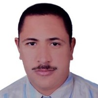 Ahmad Abdel-Hameed