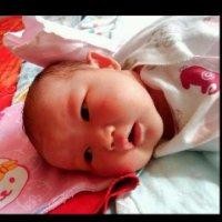 刘东洋