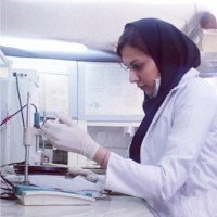 Negar Rajabi