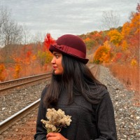 Anjana Krishna