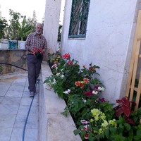 Mahmoud Asfia