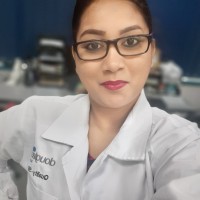 Sarifa Bibi