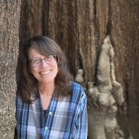 Kim Strader