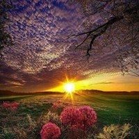 عائشة الخميسي