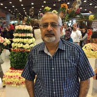 Aliakbar Kojouri (Mba, Pmp)
