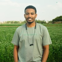 Abdallah Adel