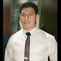 Hassan Fekry