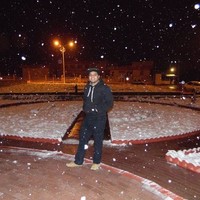 Syed Ali Hassan Zaidi