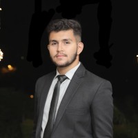 Muhammad Albab Hussain