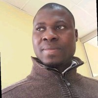 Adewale Amidu