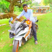 Narasimmabharathi S
