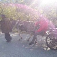 龚家伟