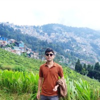 Dhiman Bhowmik