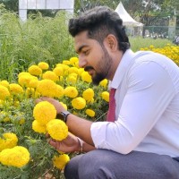 HARI OM PAL