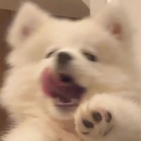 刘天笑