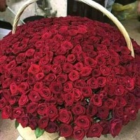Rohi Mahmmad