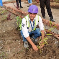 Wakil Ansari
