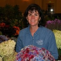 Judy Marriott Laushman