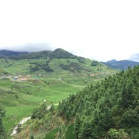 万家顺