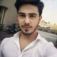 Arman P.