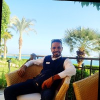 Hussein El Hawary
