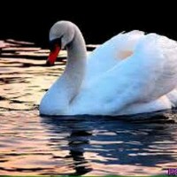 Wisam Alsahir