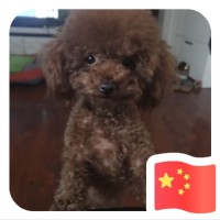 罗龙飞