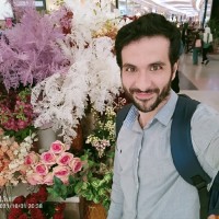Mostafa Elsayed