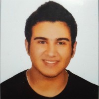 Salaheldin Eltounsi