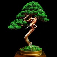 Renukasai vallabhaneni